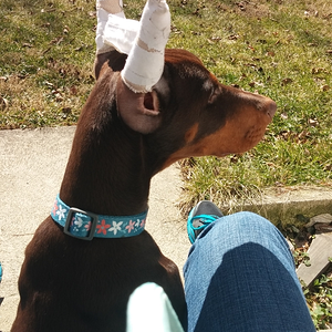 I didn't know it was green under that white stuff!?