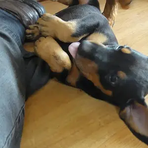 It's official, he's a clown!