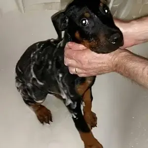 Bath time