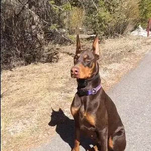 Gretchen 10mo 4.4.15