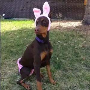 Gretchen 10mo 4.4.15