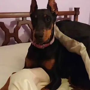 Nadja 5 Mo Old