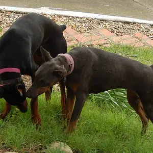 Lets see who moves first