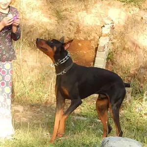 Kiara and Roman founs and easter egg from easter. Guess they didnt find them all.