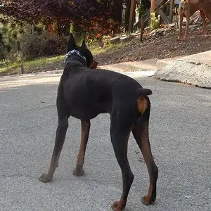 Another back side shot..