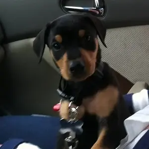 Going home the first day