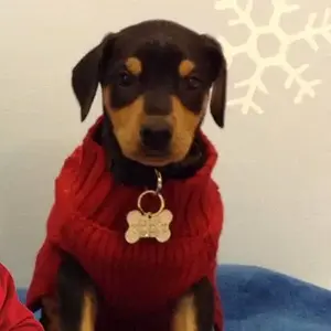 My first picture with Santa