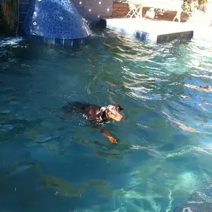 fiona swimming
