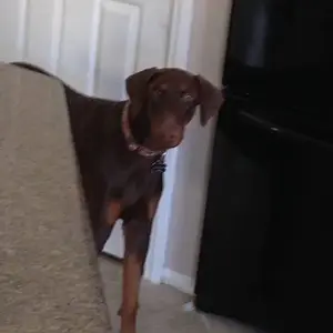 Why are you hiding from me mom?