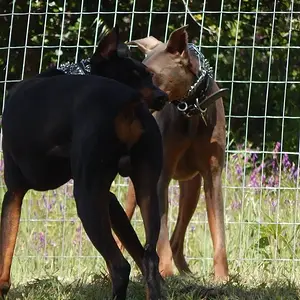 They love each other..