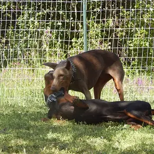 Like this every day!