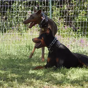 And there friends agin