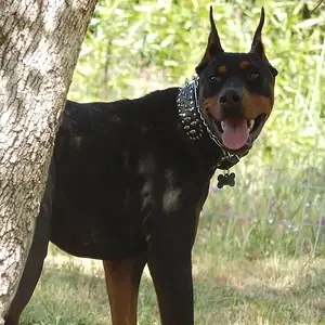 Loves being out side