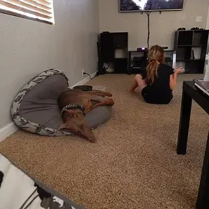 So tired of playing out side..