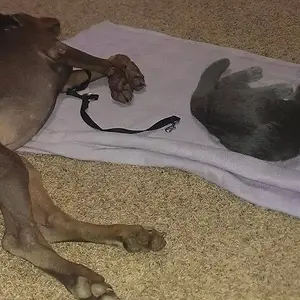 Deijah and her buddy