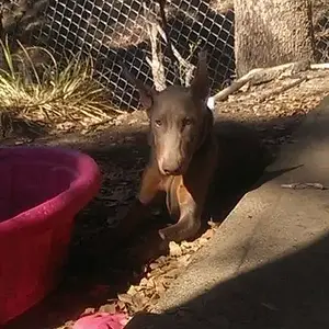 so hate being forced to be out side