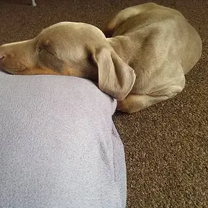 First week with us..