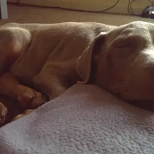 First week with us..