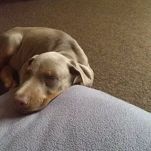 First week with us..