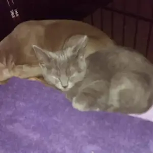 First week with us..