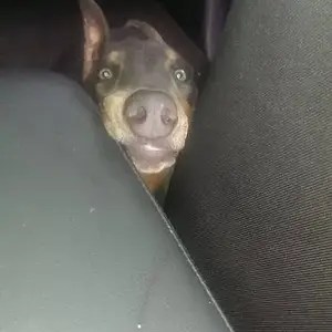 yub she was ment for this family