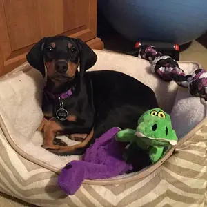 Sleeping with my friends