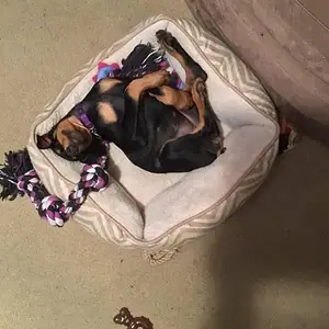 Yes, this is comfortable!