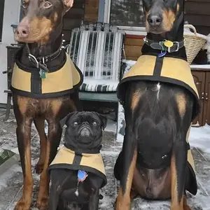 Chica, Frida & Diego