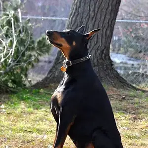 Diego yesterday 5/1/15