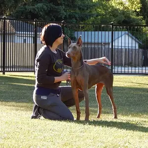 Deijah second day of handling class
