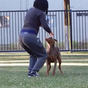 motivating her a little. make it fun