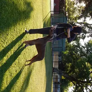 no clue why its side ways.