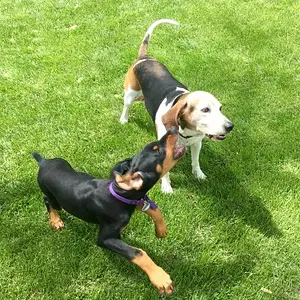 Playing with sister.