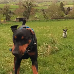 Corner field workout