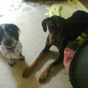 We didn't break anything!