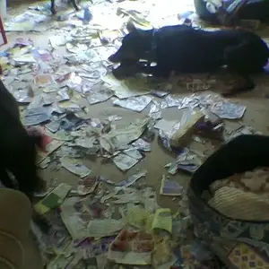 ok, yes I broke some things