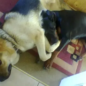 Uncles Bailey and Boris