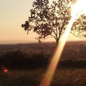 Home, King's Sedgemoor