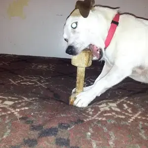 rip henry, it wasn't your time xxx