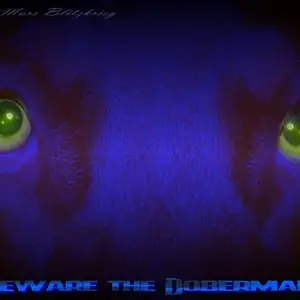 3-1322186131-e044df4cebd09e9cf2b3536a0bf7674c