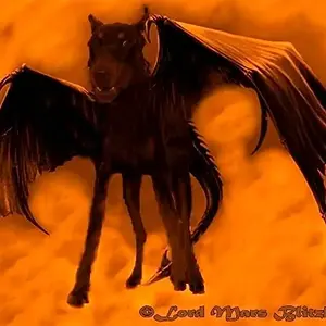 21-1322186156-fd913b717c5234b0a843331aa7b70cfb