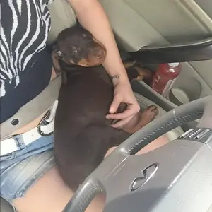 day 1 bringing him home