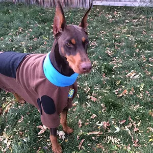 Gretchen Scooby Doo 2015