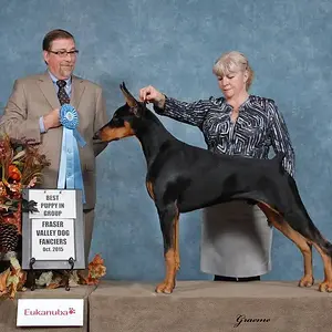 Puppy Group, Oct, Cloverdale