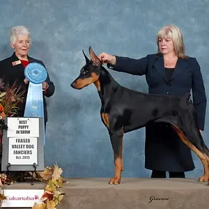 BEST PUPPY IN SHOW