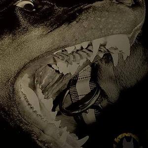 Mi Nomine di Thunderstorm