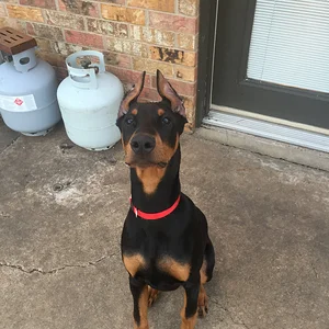 Staring at the ball I'm holding over my head
