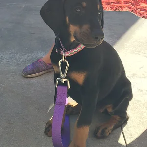 Gemma meets her new family!