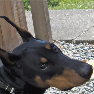 Just 'cause I'm beautiful...