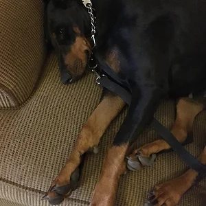 My corner of the couch!